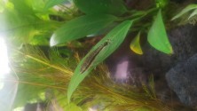 20220129_183153.jpg