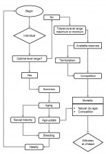 Figure 1. Processes that promote the dynamics of specimens in the model over an interval of 1,000 years.