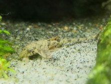 IMG_20220109_122532.jpg