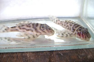 DSC07903.jpg