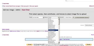 screenshot1.JPG