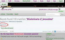 Screenshot_20230222-064432_Chrome~3.jpg