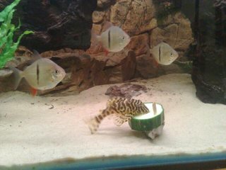 IMG_0191.JPG