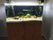 l2002akvarium05.10.23.jpg