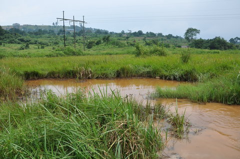 Habitat