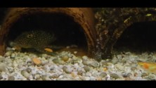 VideoCapture_20230828-214441.jpg