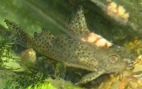 IMG_9574.jpg