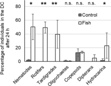 Fig. 3 Mean percentage (± SD, n = 5) of meiofauna taxa found<br />after 24 h in the DCs of the control (grey) and fish (white)<br />treatments. n.s. not significant, *P &lt; 0.05, **P &lt; 0.01 (Wilcoxon-<br />test)