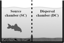 Fig. 1 Experimental setup. Fish were placed in the source<br />chamber with living sediment. After 24 h the sediment of both<br />chambers and the water column were sampled