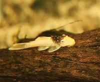 IMG_7292.JPG