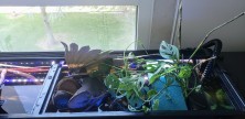20240623_172828~2.jpg