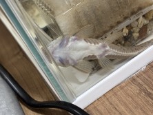 IMG_4436.jpeg