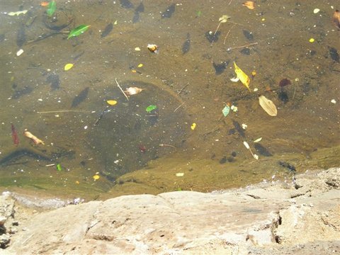 DSCN2426.JPG