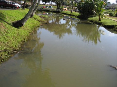 IMG_0850.JPG