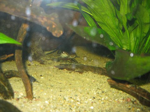 IMG_0631.jpg