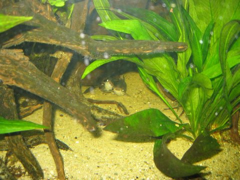 IMG_0636.jpg