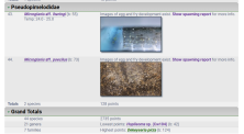 new Blog totals.png