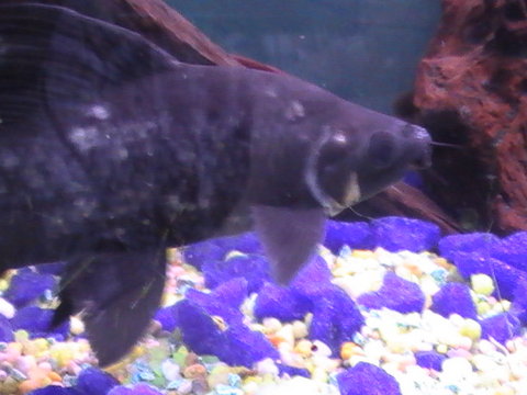 PIC_0282.JPG