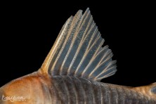 1U3A8220-Enhanced-NR.jpg