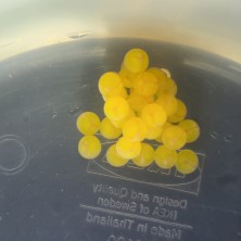20250615_074704.jpg