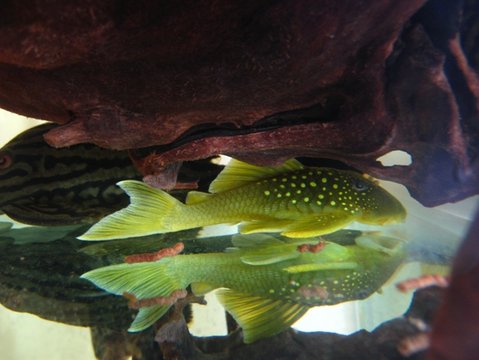 IMG_6715.JPG