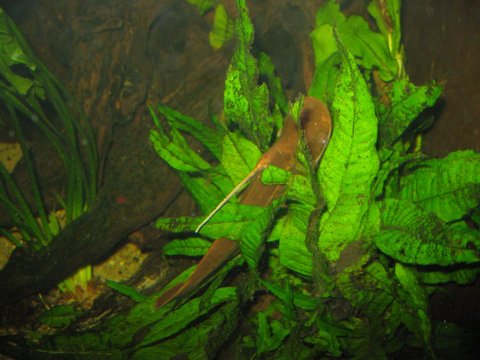 IMG_0639.jpg