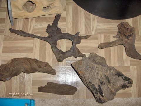 driftwood