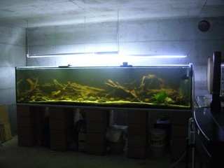 the big tank, 12 liters evaporation per day