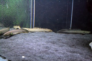 My 3 big girls