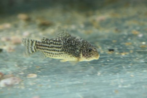m_IMG_5205.jpg