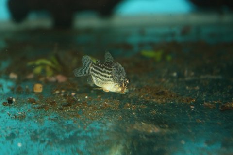 m_IMG_5215.jpg