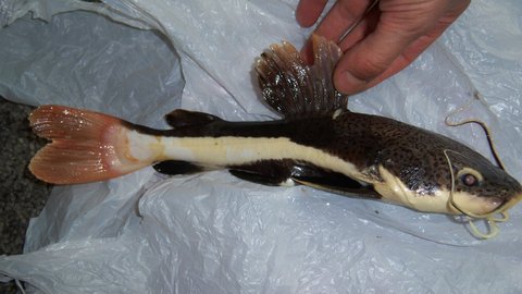 100_2270.JPG