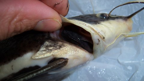 100_2275.JPG