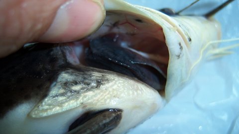 100_2276.JPG