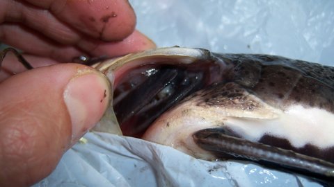 100_2277.JPG
