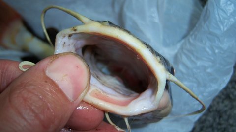 100_2282.JPG