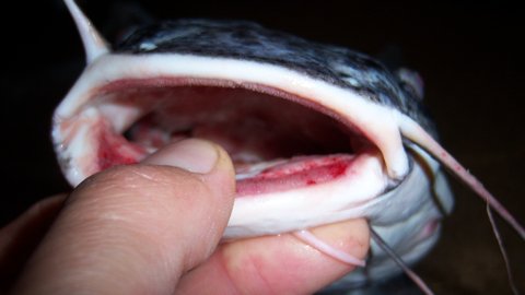 100_2444.JPG