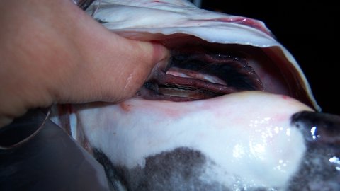 100_2477.JPG