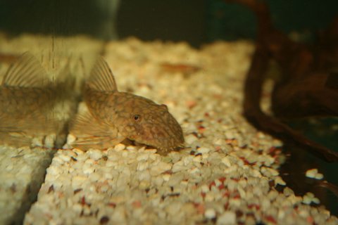 IMG_6839.jpg