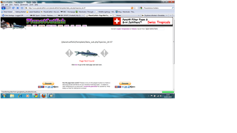 Error page.png