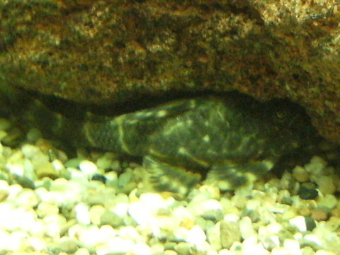 DSCF0492.JPG