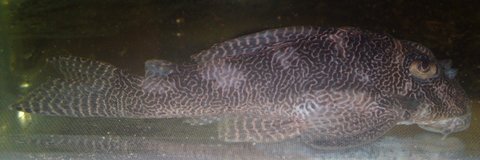 17082010867.JPG