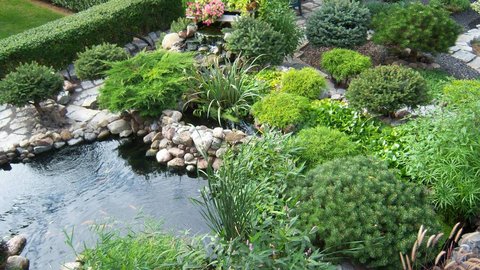Pond from above 2.JPG