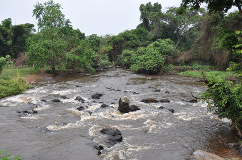 The beautiful Wambabya River.