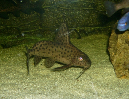 syno1.jpg