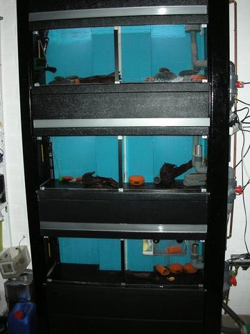 rack with biofilter under