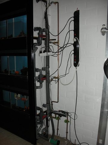 piping of the rack