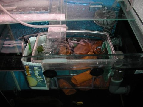 breeder with airlift to provide flow