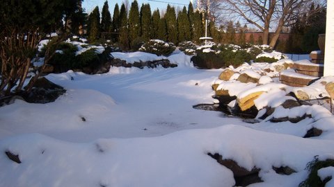 100_3906.JPG