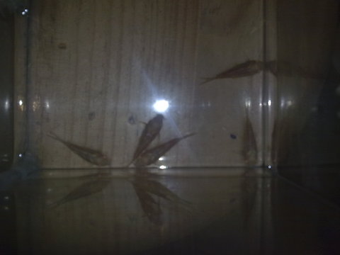 13022011499.jpg